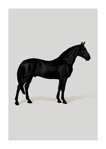 Poster Black Horse Port. Drawing
