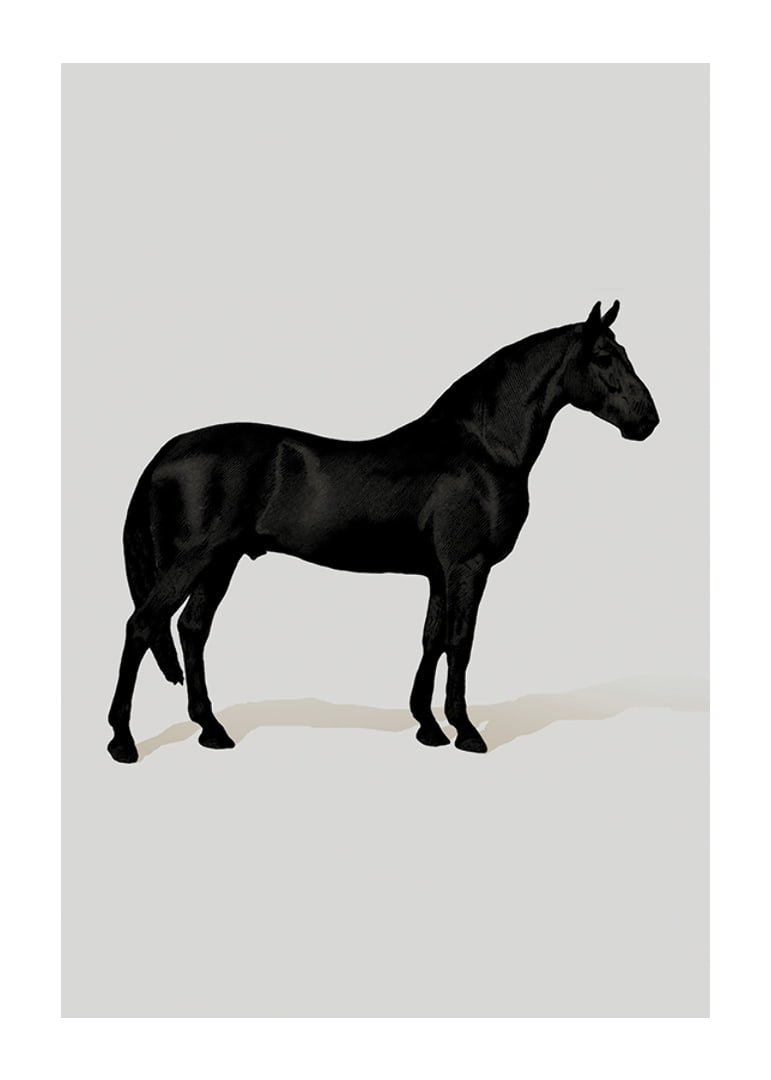 Black Horse Port. Drawing-12