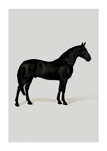 Plakat Black Horse Port. Drawing