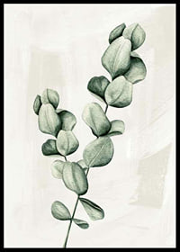 Eucalyptus Watercolor-6