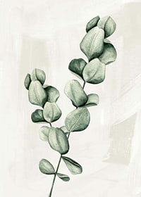 Eucalyptus Watercolor-7