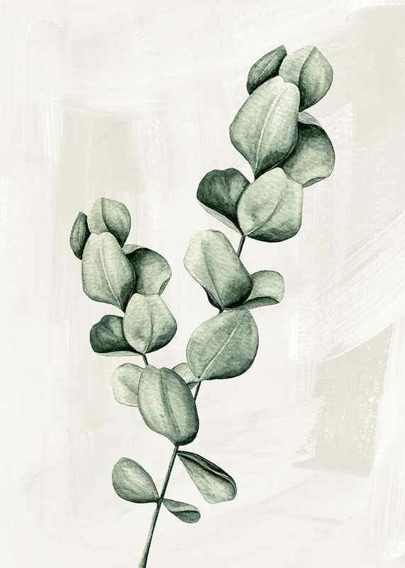 Eucalyptus Watercolor-12