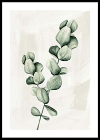 Eucalyptus Watercolor-0