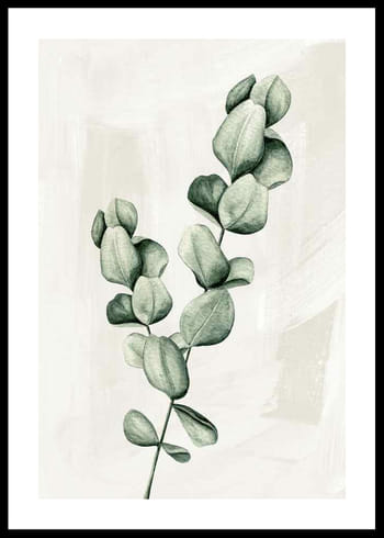 Poster Eucalyptus Watercolor