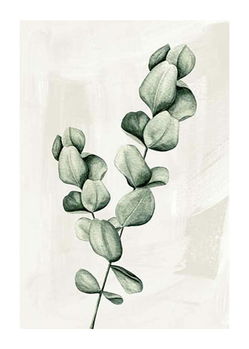 Poster Eucalyptus Watercolor