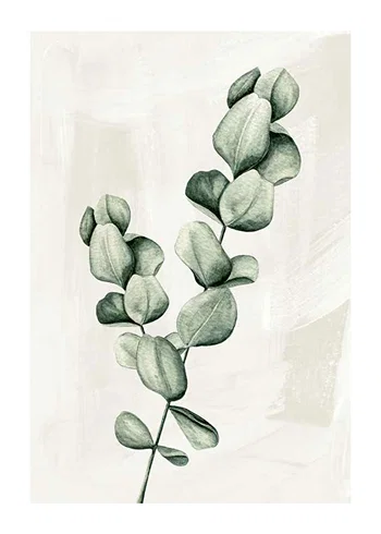 Poster Eucalyptus Watercolor