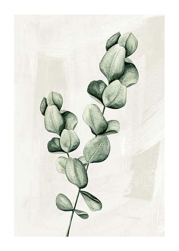 Poster Eucalyptus Watercolor