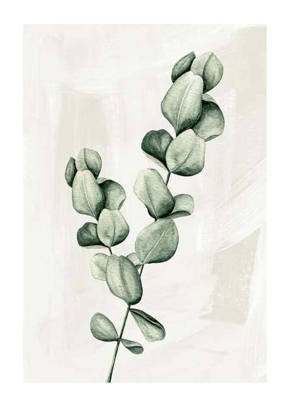 Plagát Eucalyptus Watercolor