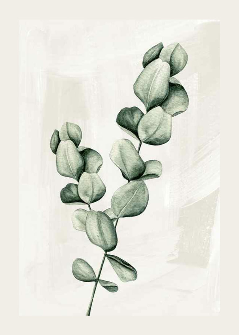 Eucalyptus Watercolor-12