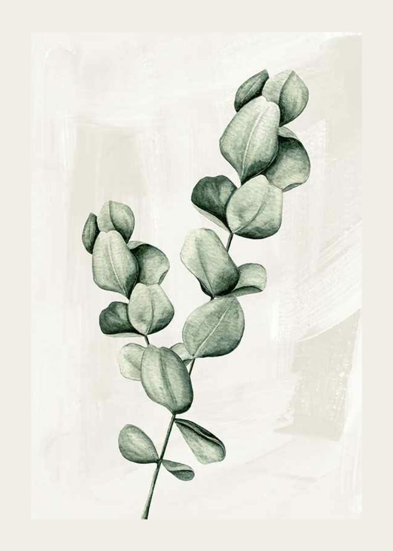 Eucalyptus Watercolor-12