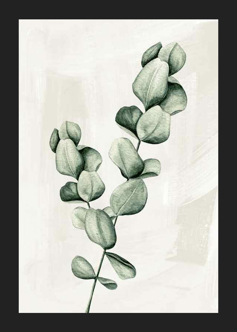 Eucalyptus Watercolor-12