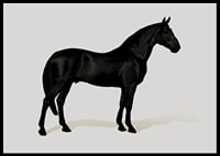 Black Horse Land. Drawing-6
