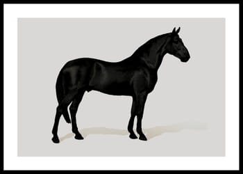 Poster Black Horse Land. Drawing