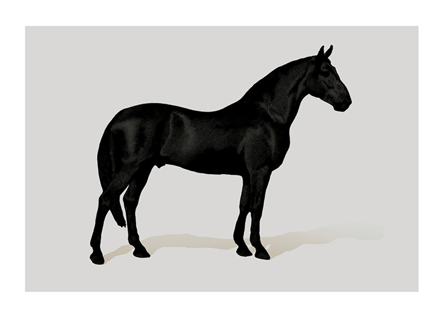 Black Horse Land. Drawing-12