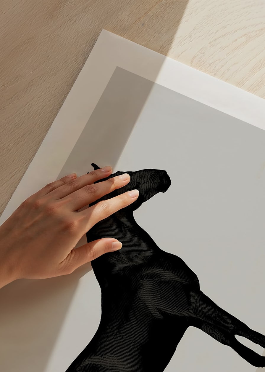 Black Horse Land. Drawing-12