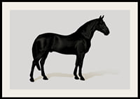 Black Horse Land. Drawing-2