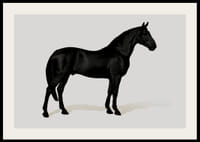 Black Horse Land. Drawing-2