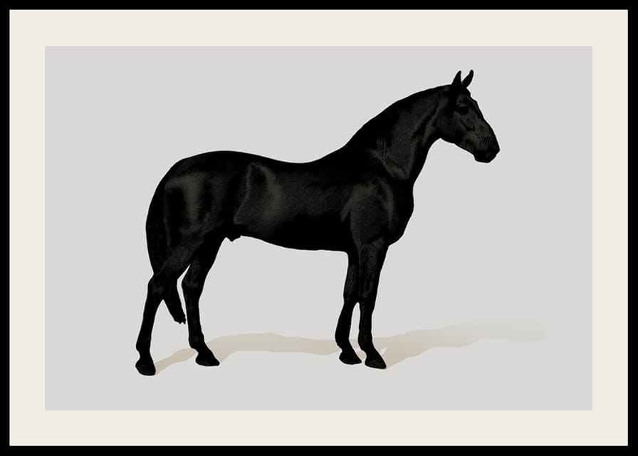 Black Horse Land. Drawing-12