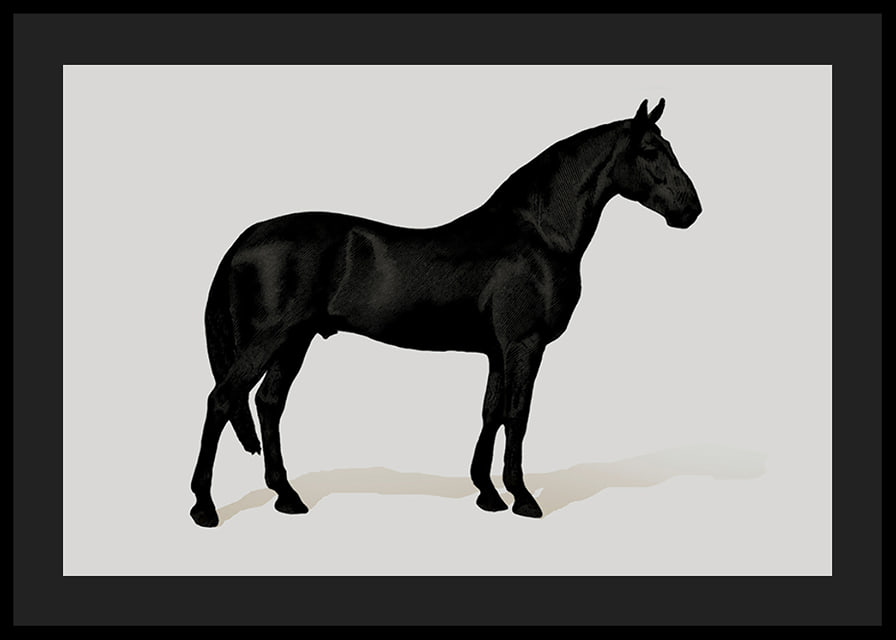 Black Horse Land. Drawing-12