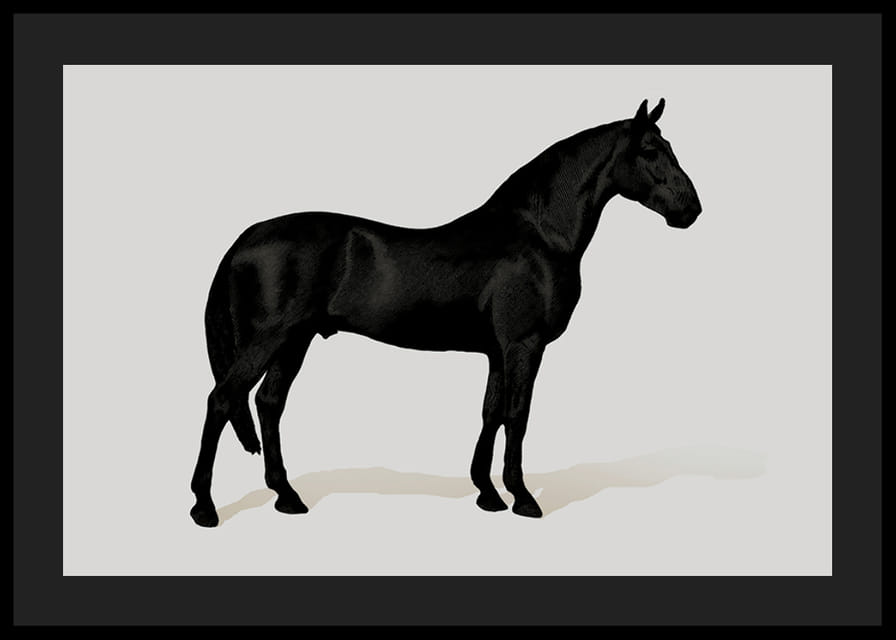Black Horse Land. Drawing-12