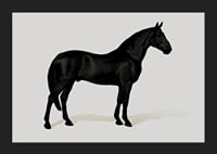 Black Horse Land. Drawing-5