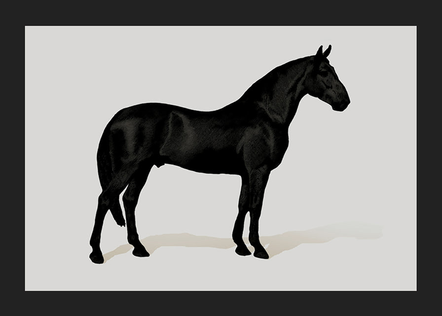 Black Horse Land. Drawing-12