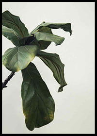 Botanical Leaves-6