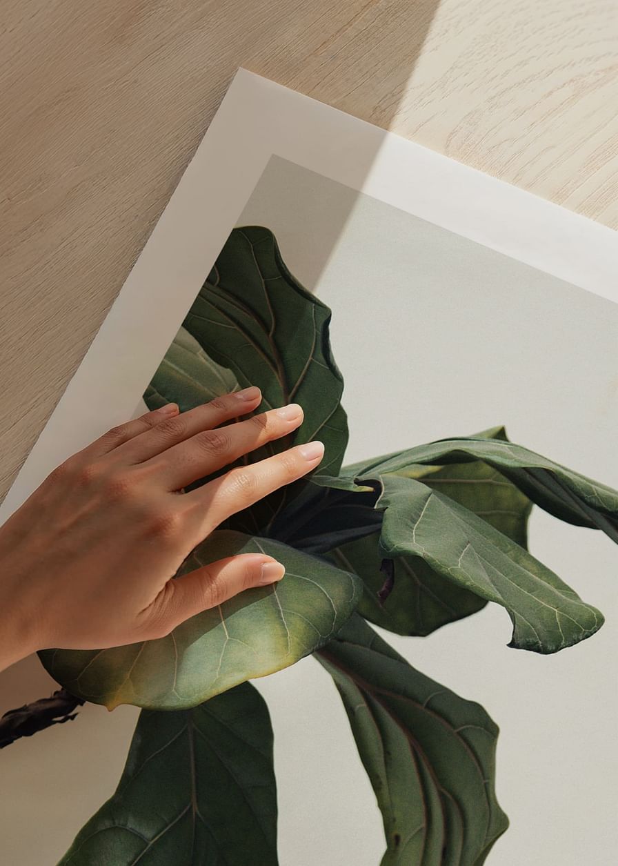 Botanical Leaves-12