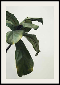 Botanical Leaves-2