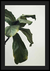 Botanical Leaves-4