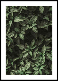 Garden Green No1-0