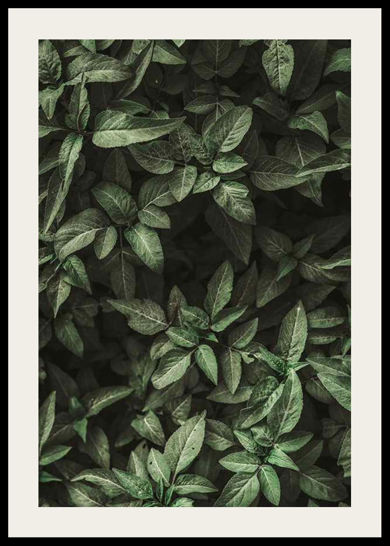 Garden Green No1-12