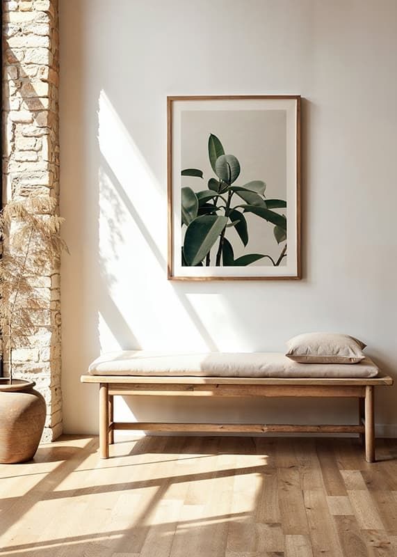 Poster Rubber Plant crossfade