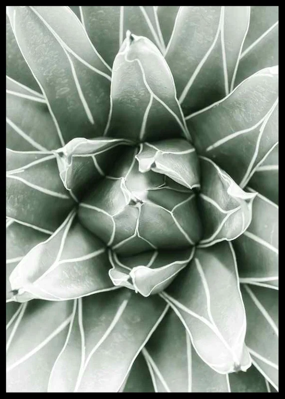 Bright Green Botanical No1-12