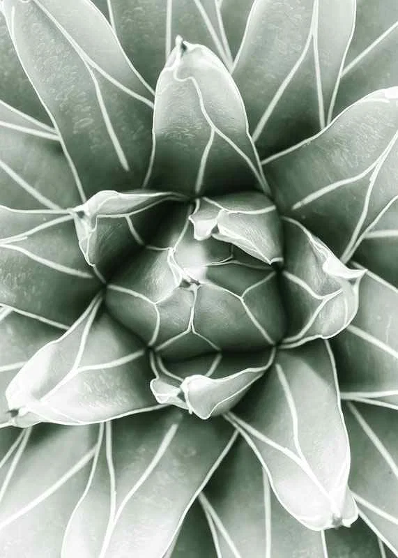 Bright Green Botanical No1-12