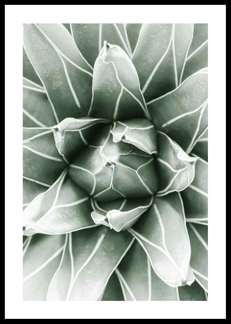 Bright Green Botanical No1-12
