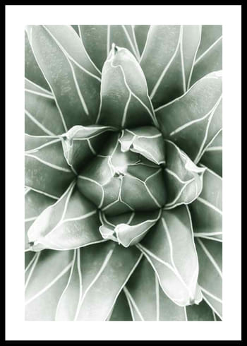 Poster Bright Green Botanical No1