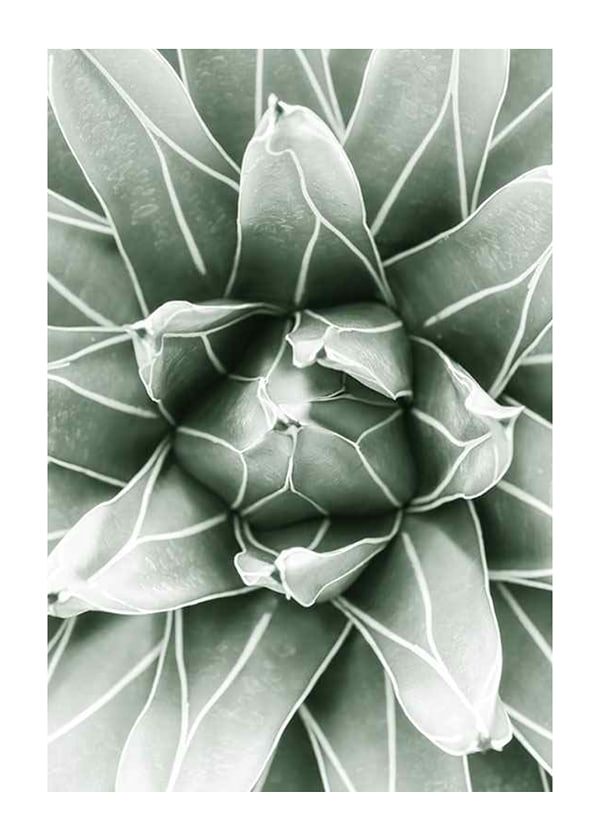Juliste Bright Green Botanical No1