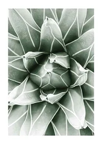 Bright Green Botanical No1-1