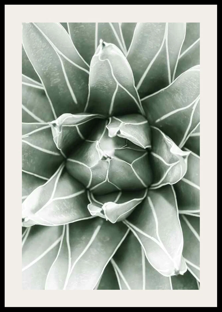 Bright Green Botanical No1-12