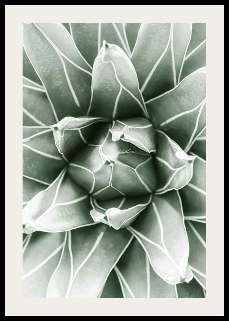 Bright Green Botanical No1-12