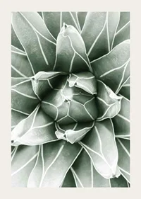 Bright Green Botanical No1-3