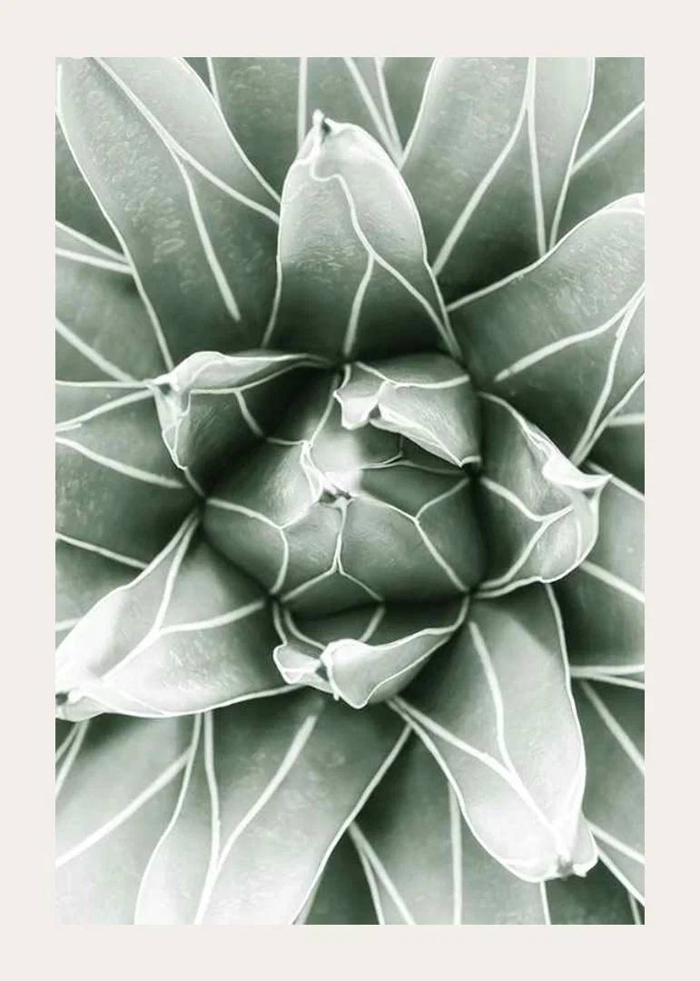 Bright Green Botanical No1-12