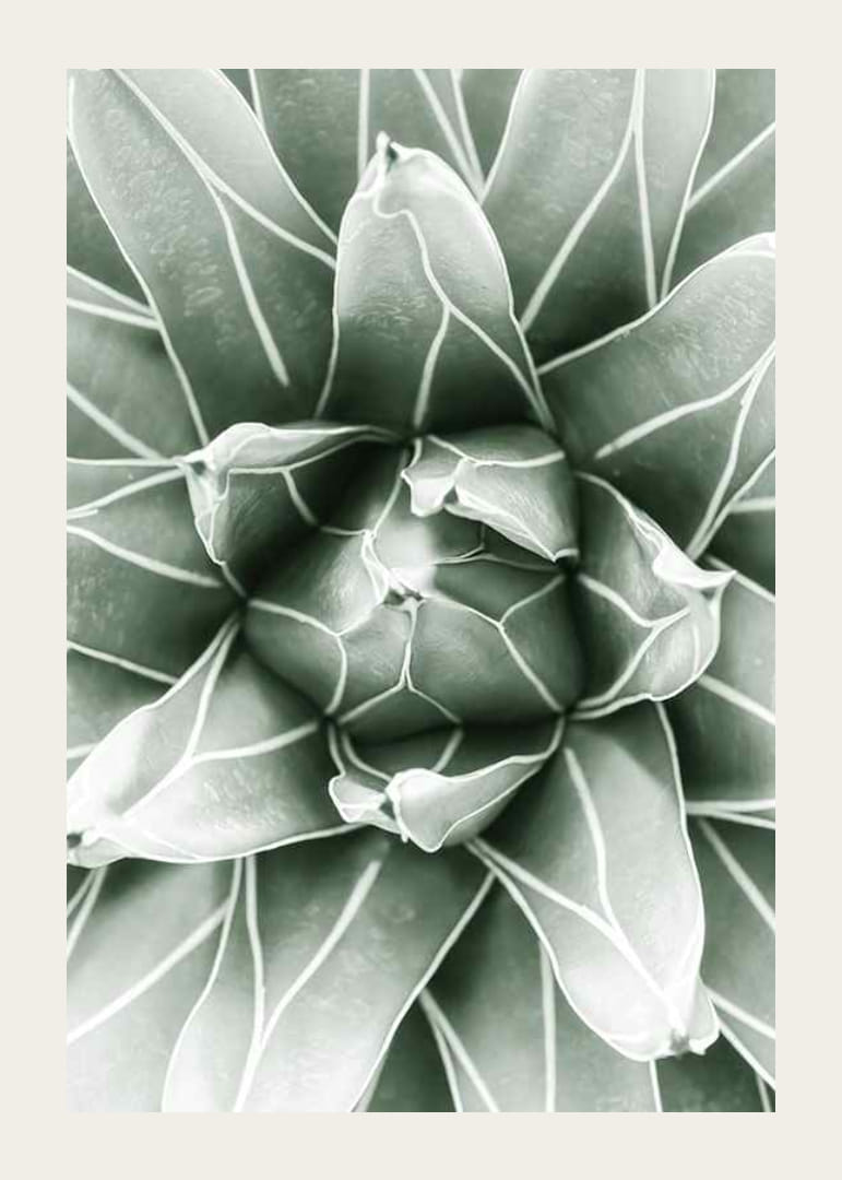 Bright Green Botanical No1-12