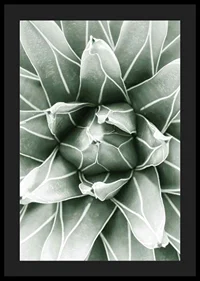 Bright Green Botanical No1-4