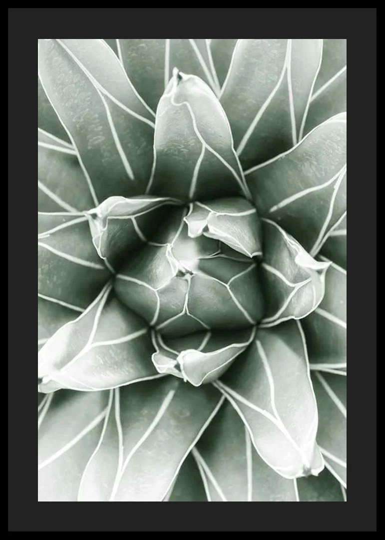 Bright Green Botanical No1-12