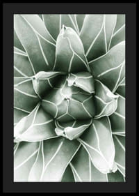 Bright Green Botanical No1-4