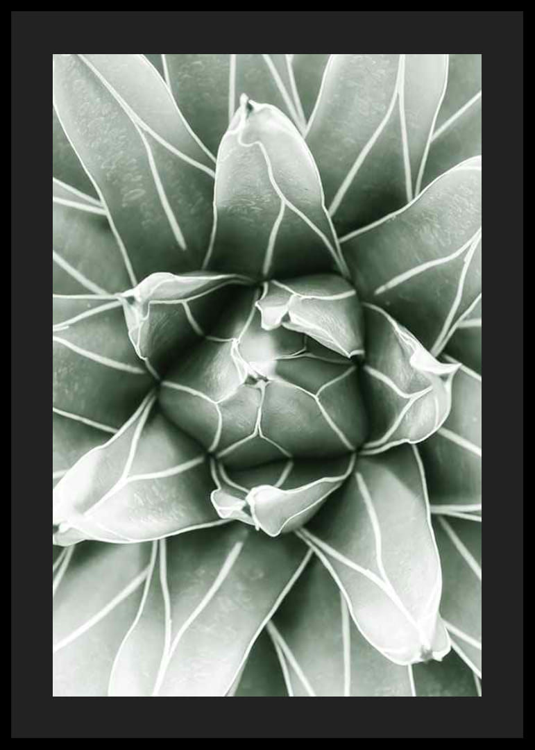 Bright Green Botanical No1-12