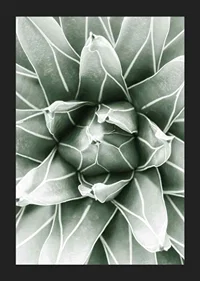 Bright Green Botanical No1-5