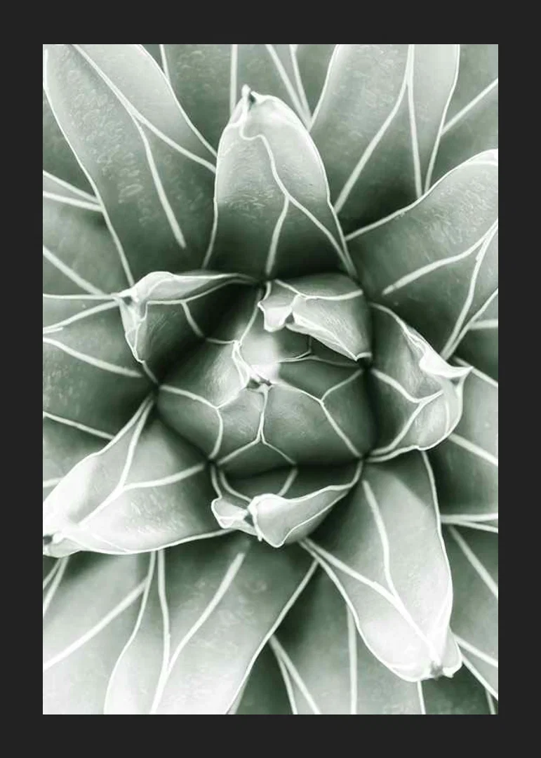 Bright Green Botanical No1-12